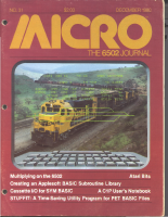 micro-31-dec-1980