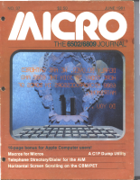 micro-37-jun-1981